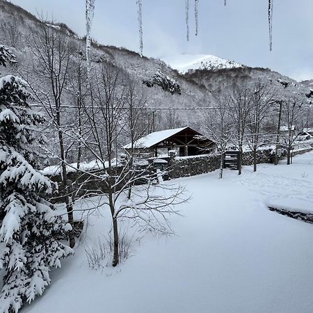 Vikendice Biocinovici Villa Kolašin Eksteriør bilde