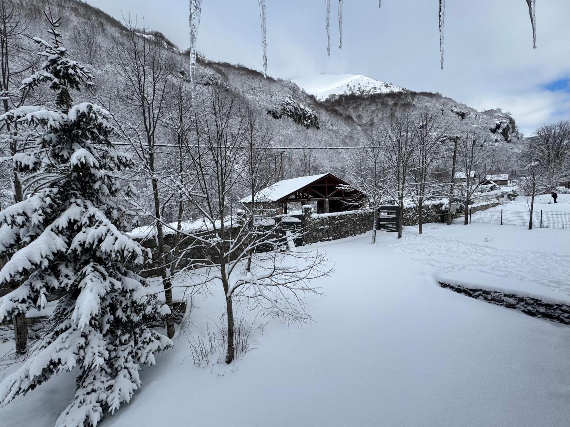 Vikendice Biocinovici Villa Kolašin Eksteriør bilde